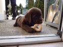 Das ist meines